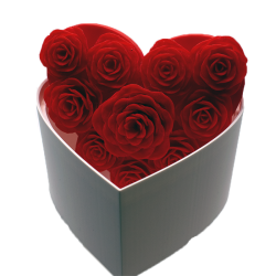 Serce z Wiecznymi Różami | Romantyczne Pudełko 3D na Prezent - Dekoracje 3D